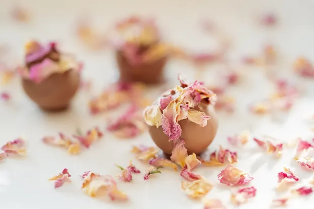 Crystal Kasyno Aplikacja Android/iOS