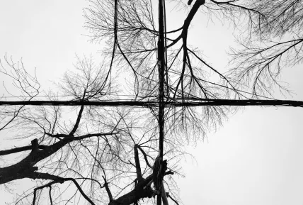 Crystal Kasyno Aplikacja mobilna